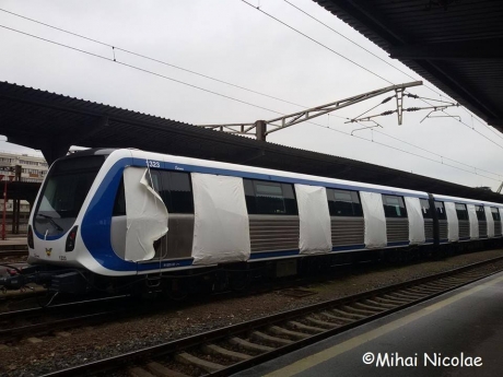 t4_31509600